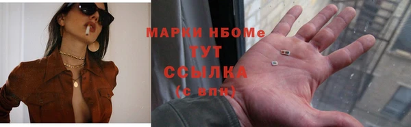 индика Алексин
