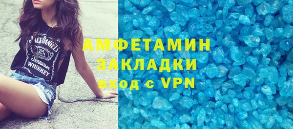 индика Алексин