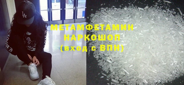 индика Алексин