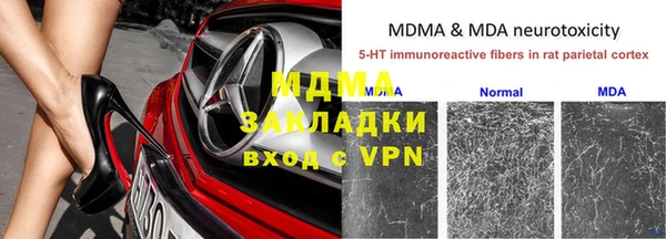 индика Алексин